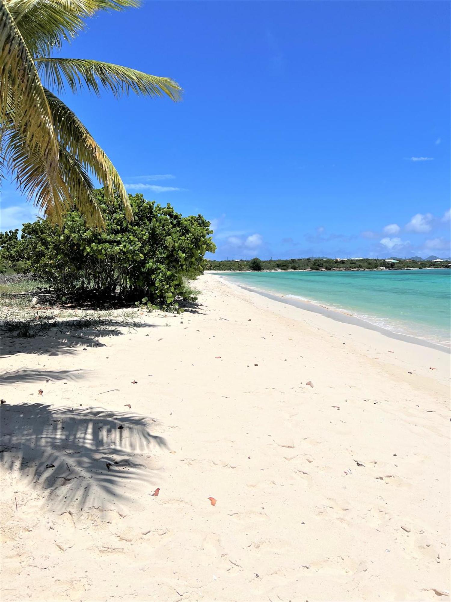 Rendezvous Bay Hotel Lower South Hill ภายนอก รูปภาพ